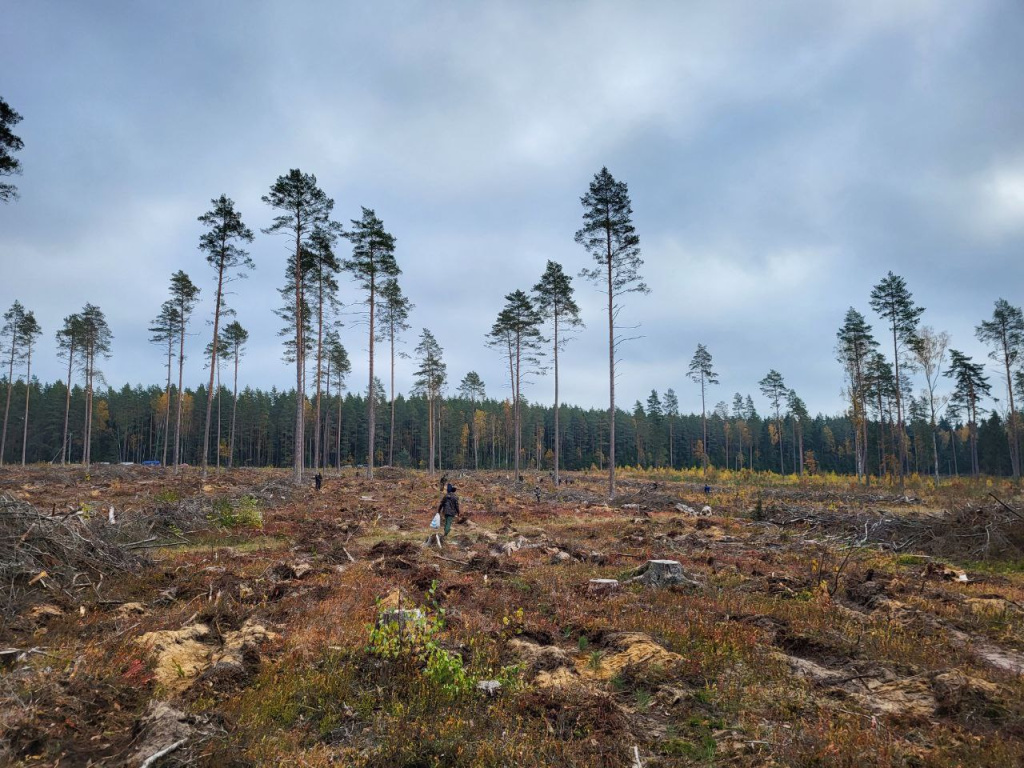 IMG_20241027_133642_833.jpg IMG_20241027_133642_833.jpg