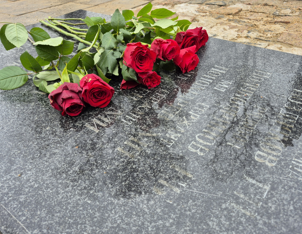 20260223_143925.jpg 20260223_143925.jpg