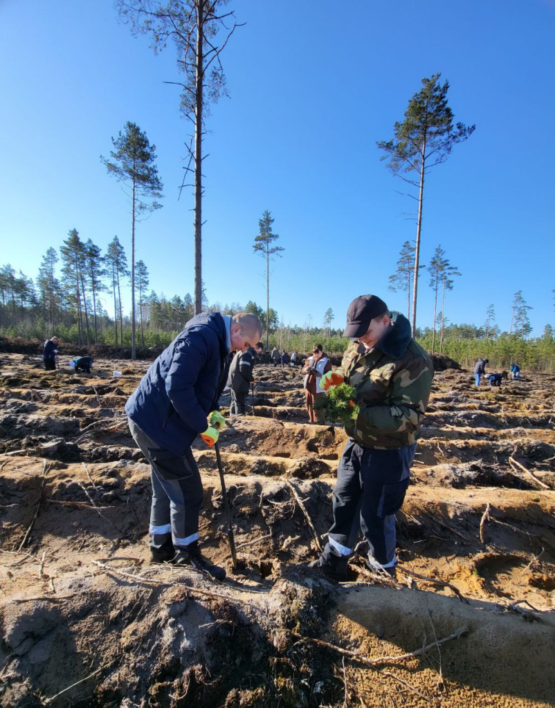 IMG_20250330_140716_985.jpg IMG_20250330_140716_985.jpg