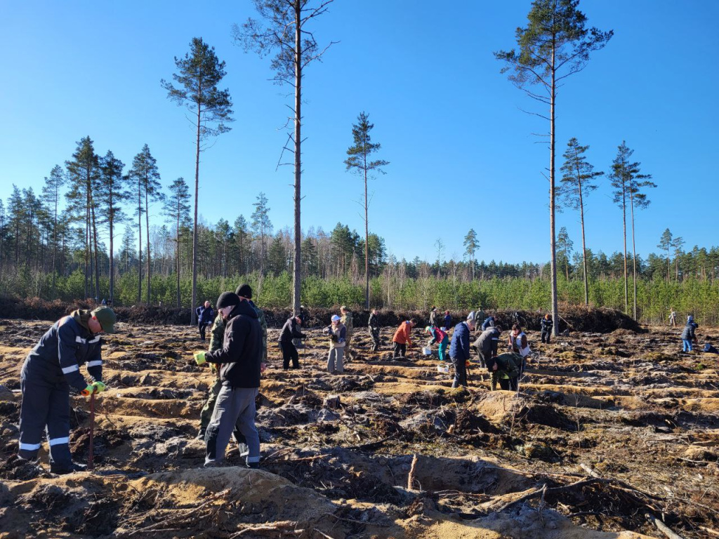 IMG_20250330_140716_962.jpg IMG_20250330_140716_962.jpg