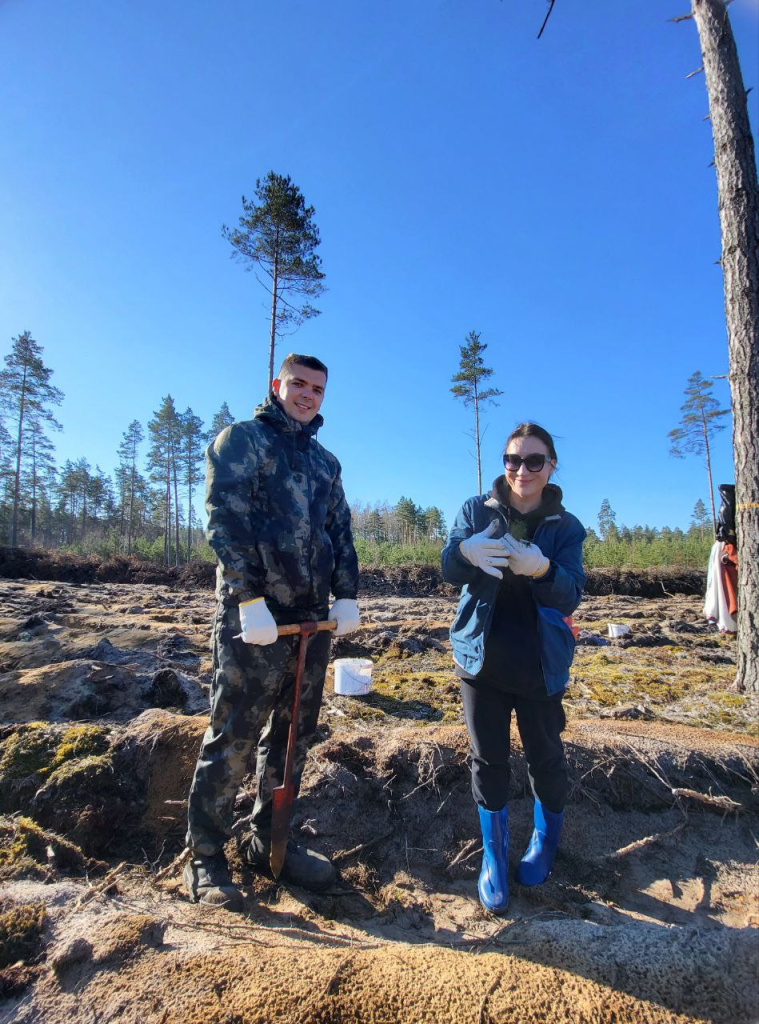 IMG_20250330_140716_796.jpg IMG_20250330_140716_796.jpg