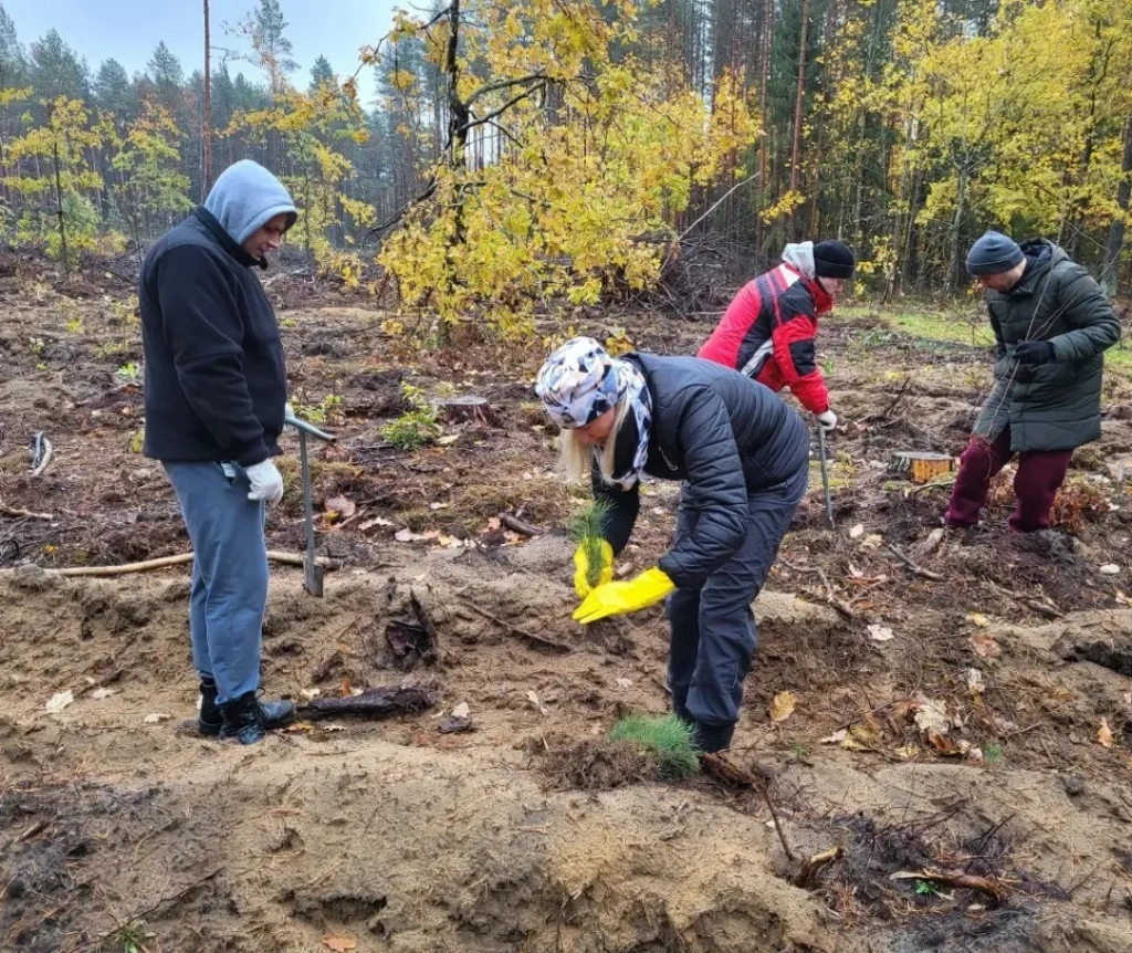 IMG_20231030_152635_446.jpg IMG_20231030_152635_446.jpg