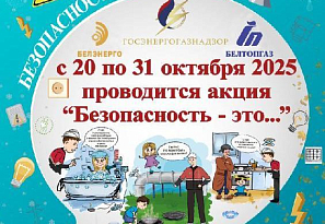 Профилактическая акция «Безопасность – это…»