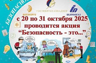 Профилактическая акция «Безопасность – это…»
