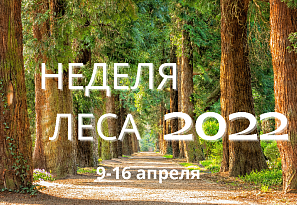 Неделя леса - 2022